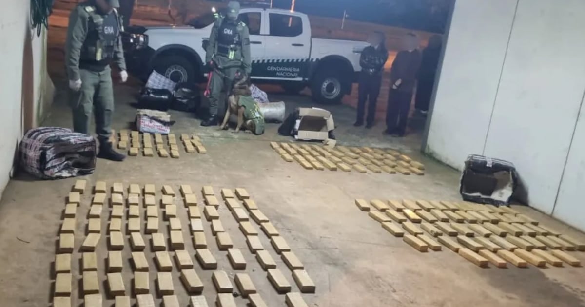 Secuestran más de 142 kilos de marihuana en un ómnibus de larga distancia que iba de Iguazú a Buenos Aires