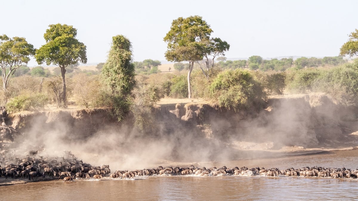 Tanzania sin reloj: tres parques, tres aldeas y la migración que nunca llega en punto