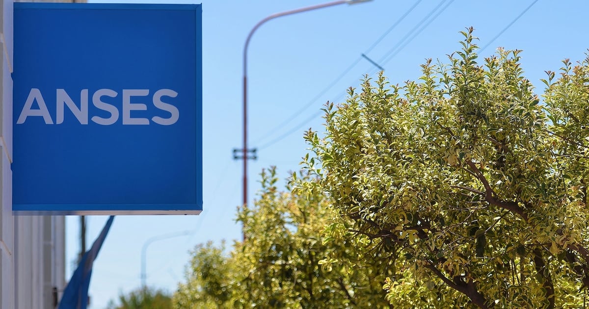 Calendario de ANSES para DNI terminado en 2 en octubre: cuánto y cuándo se cobra cada prestación