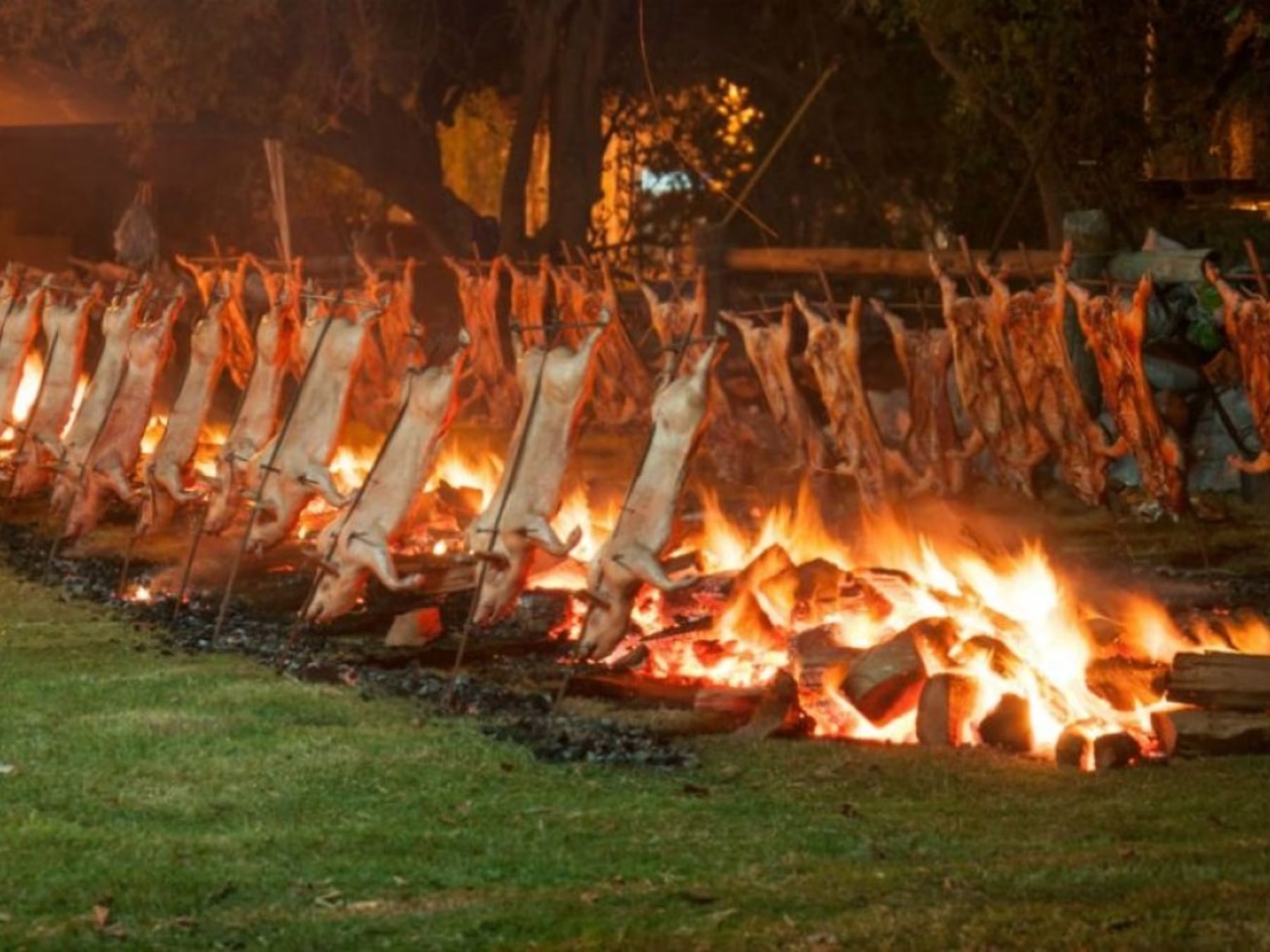 Cinco fiestas, un solo feriado: la agenda que se despliega por la provincia de Buenos Aires del 10 al 12 de octubre