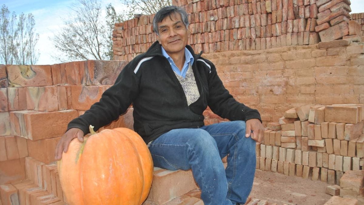 Mariano Moreno vuelve a sembrar zapallos: el martes reparten semillas gratis y buscan al productor que le gane a los 23 kilos