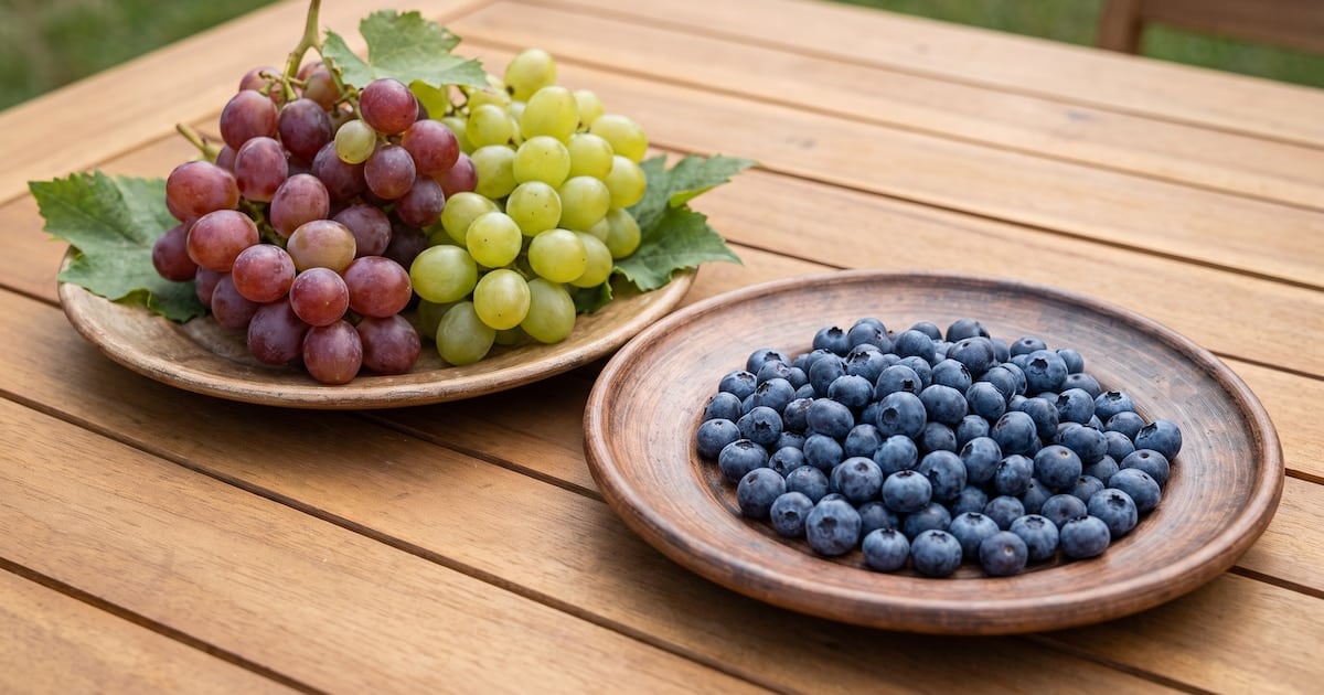 Arándanos o uvas en la mesa familiar: cuál pica menos el azúcar en sangre y por qué la fibra hace la diferencia