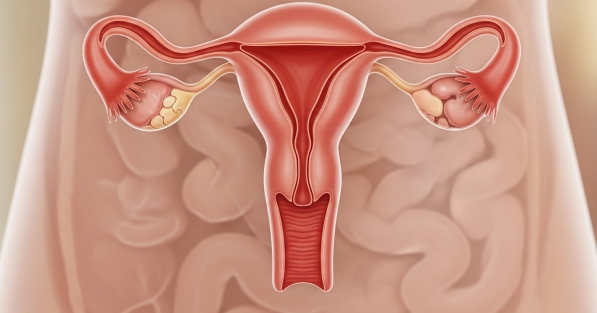 Lo que el ovario hace en silencio después de la menopausia: un hallazgo que obliga a repensar la salud femenina