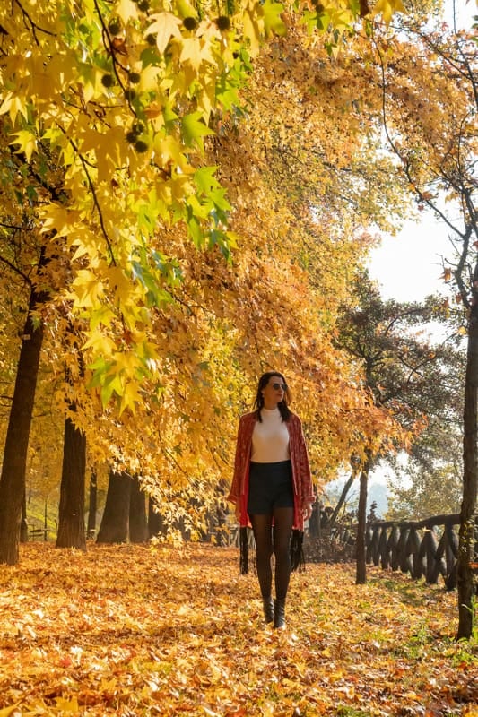 Europa en otoño: doce capitales con folateo, menos_query y planes para cada clima