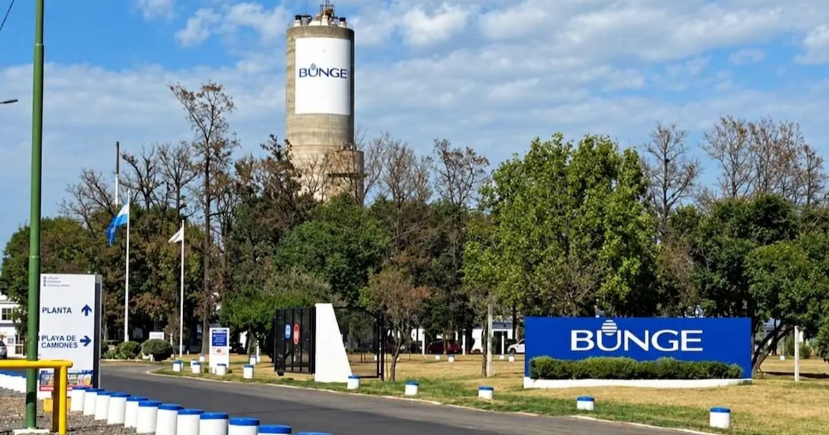 Campana: una empresa agroindustrial deja de producir insumos químicos y despide a 110 personas